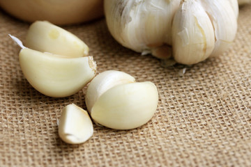 Garlic