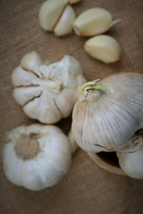 Garlic