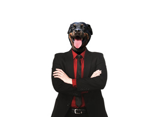 Rottweiler Dog dressed up as formal business man