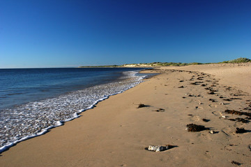 Sandy Endless Beach with Calm Sea and Blue Sky in Western Australia
