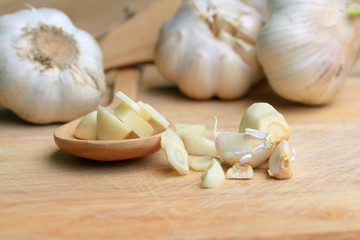 Garlic