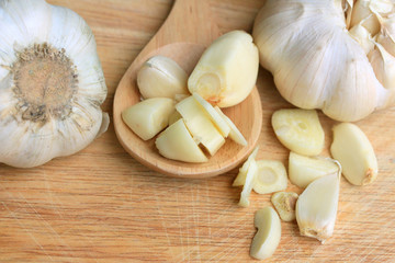 Garlic