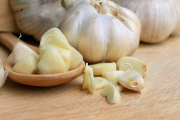 Garlic