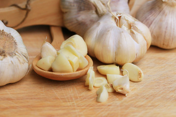 Garlic