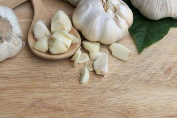 Garlic