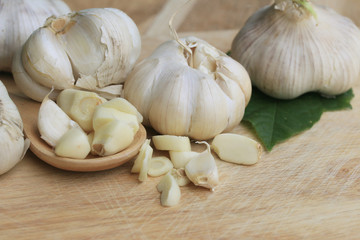 Garlic