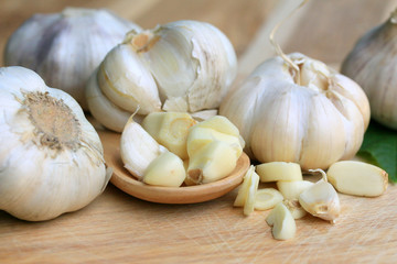 Garlic