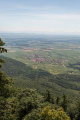 Fototapeta premium Vue sur la plaine d'Alsace