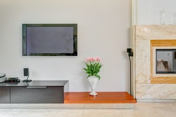 Plasma TV on the wall