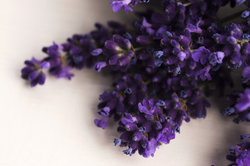 bunch of lavender flowers