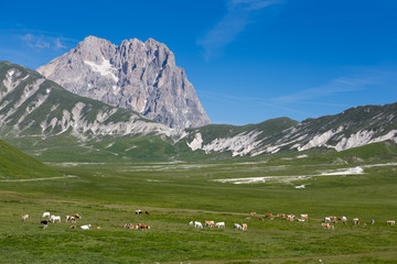 Fototapeta premium Abruzzo, Gran Sasso