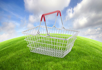 Global shopping concept 