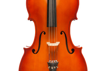 Beautiful violoncello body in vertical position