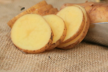Fresh potatoes