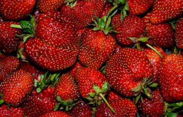 strawberries in the background