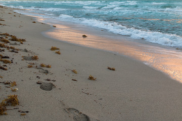 footprints in the sand