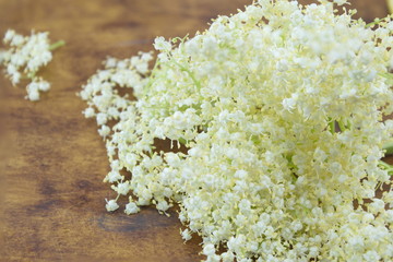 Fresh elderflower bouquet on a wooden table