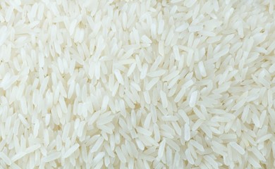 Close Up of Thai Jasmine Rice Background