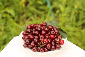 bowl of cherries on a table in the garden