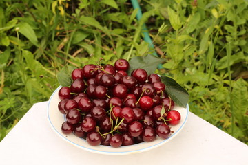 bowl of cherries on a table in the garden