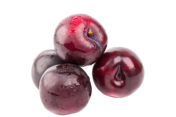 plum isolated on a white background juicy ripe red