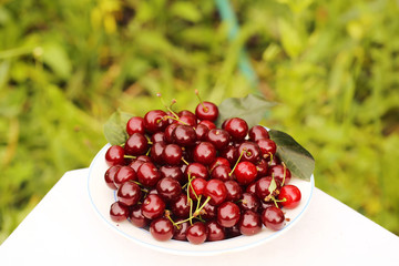 bowl of cherries on a table in the garden