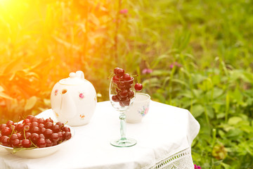 cherry tea cup glass table in a garden courtyard for summer tablecloth selective soft focus