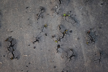 Asphalt with cracks on the surface