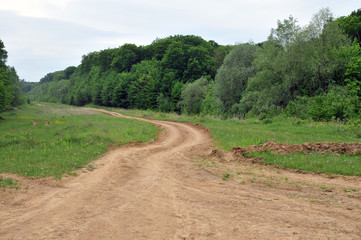 Road and forest
