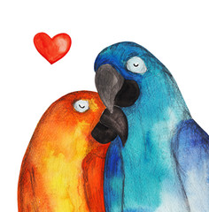 Parrots. Heart. Watercolor - 86383229