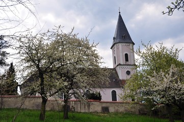 Fototapeta na wymiar Kirche in Bucha im Frühling zur Obstbaumblüte