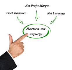 Return on Equity