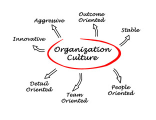 Organization Culture
