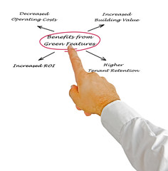 Benefits from Green Features