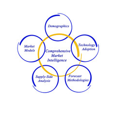 Diagram of Comprehensive Market Intelligence