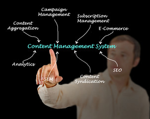 Content Management System
