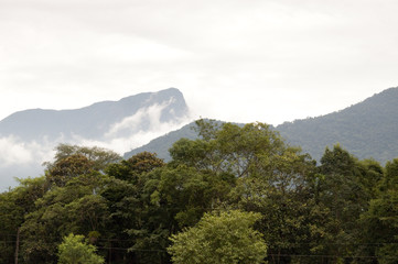 Ponta Grossa, Paraná