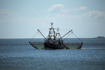 Fototapeta na wymiar Shrimp boat