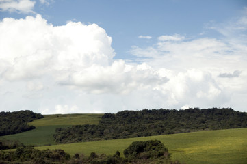 Obraz premium Ponta Grossa, Paraná