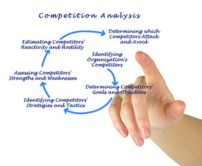 Analysis of Competition