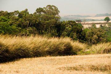 São Jorge de Ivaí, Paraná