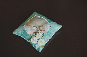 Wedding rings on a pillow 2909.