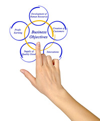 Diagram of Business Objective