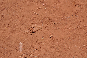 Red Earth background