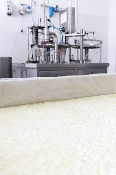 Buffalo cheese production creamery dairy tank