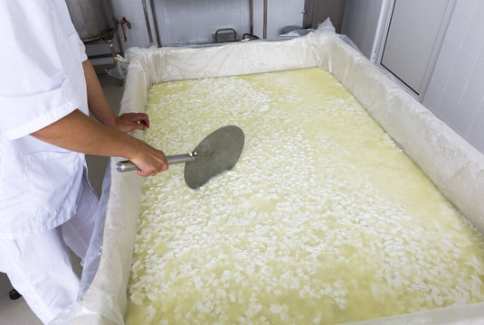 Cheese worker hands creamery dairy mixing