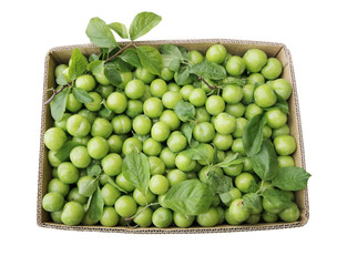 Green  Plum