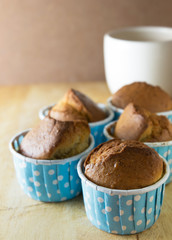 chocolate cupcakes