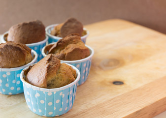 chocolate cupcakes