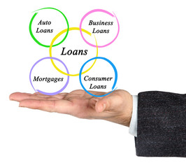 Diagram of loans